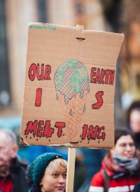 photo-1579244227591-9cad7419d19f